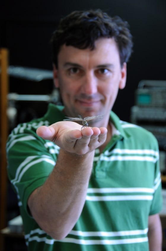 Image: Steven Wiederman holds a dragonfly
